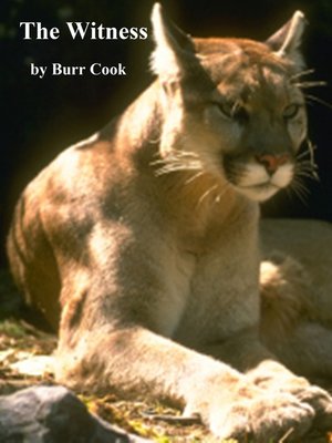 cover image of The Witness